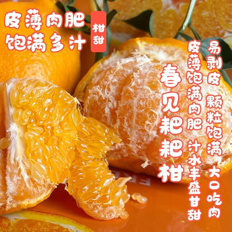 勇者无惧正宗四川春见耙耙柑特大果一整箱丑八怪丑橘子粑粑柑新鲜水果 净重4.5斤【精美彩箱装】 【特大果】果经80-85mm