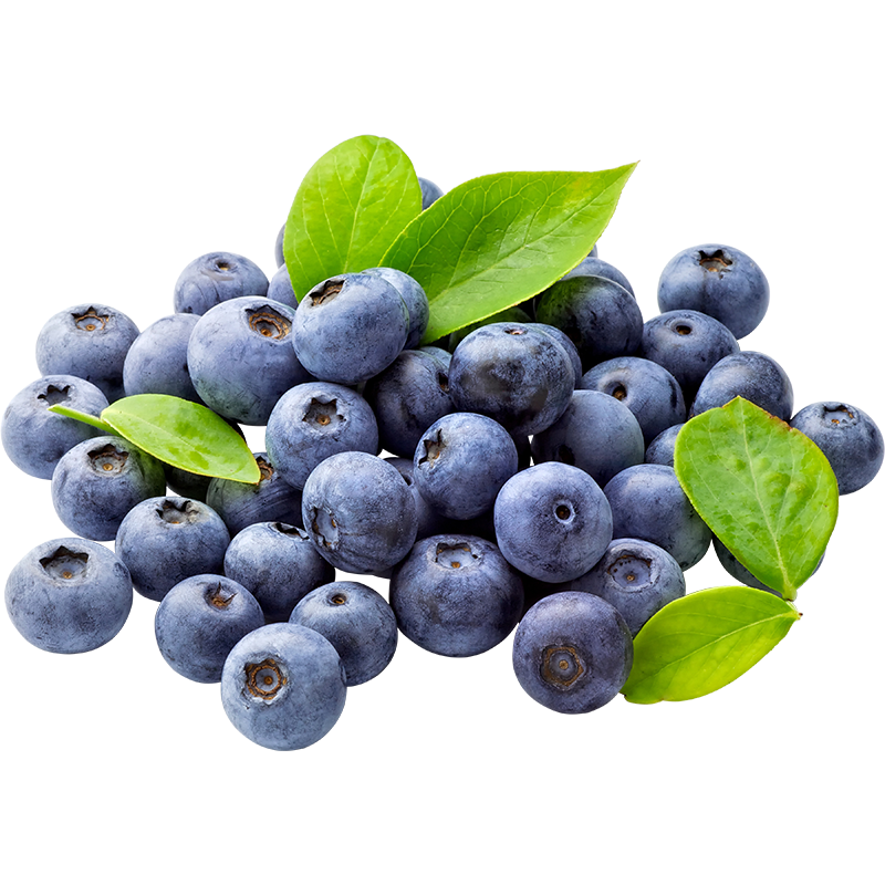 智宙云南花香蓝莓国产水果新中梅生鲜果送礼品物盒 品质小果8盒（100-125g/盒）丨单果12mm+