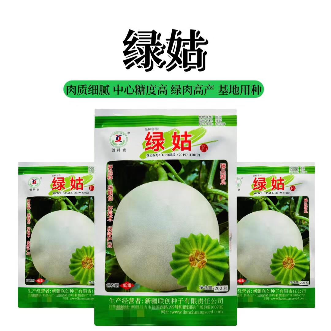 红人迷绿姑甜瓜种籽超甜玉菇甜瓜种子肉色淡绿玉菇甜瓜抗病超甜肉厚腔