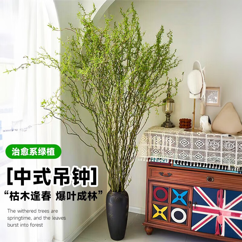 臨雅鮮枝雪柳帶芽水培開花綠植物室內(nèi)鮮花水養(yǎng)開花卉龍柳盆栽插花 1.5米高龍柳-50支+2枝