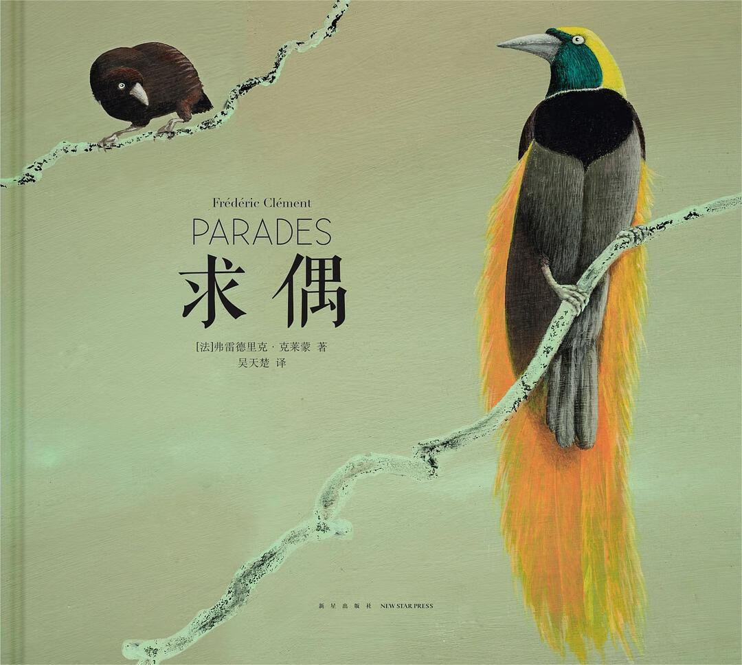 【正版现货】求偶