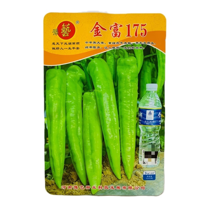 笑春风豫艺金富175辣椒种子大棚高秧大果黄绿皮粗长尖椒种籽孑 金富