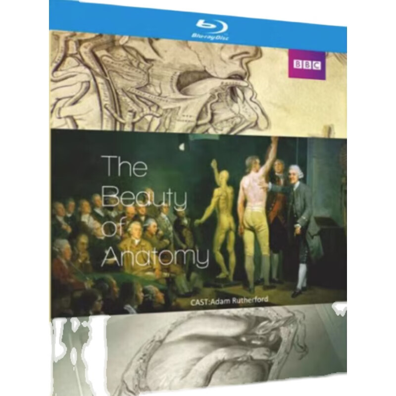 bd蓝光碟超高清英剧纪录片 bbc解剖之美 2碟光盘盒装 中英繁字幕