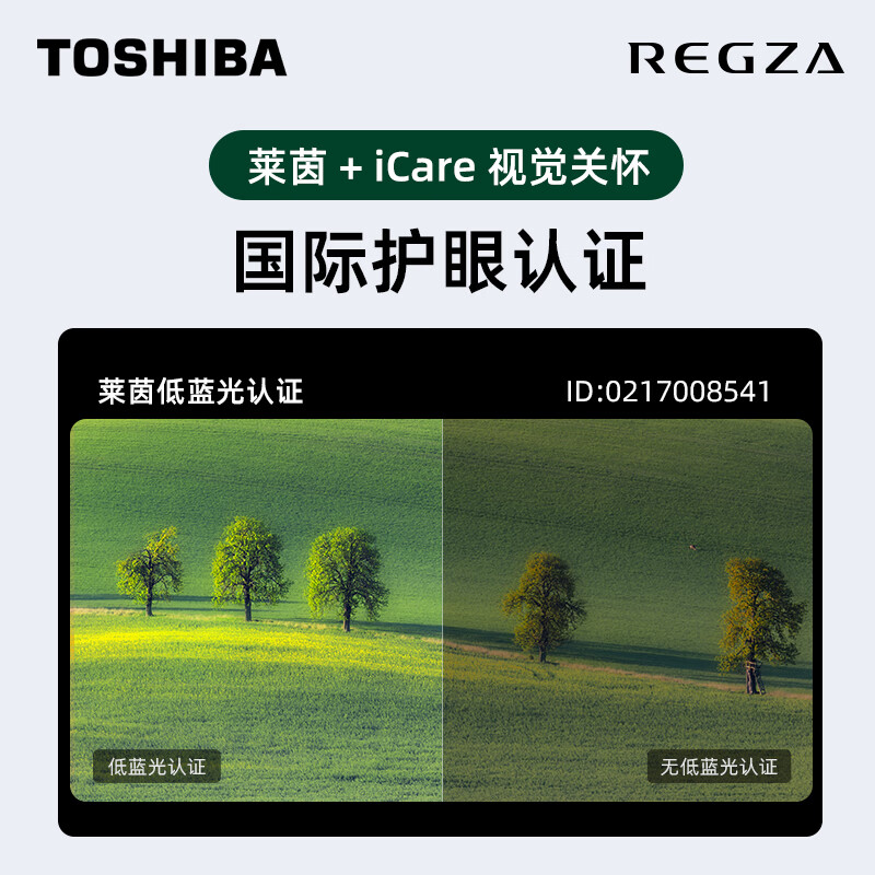 东芝电视75Z500MF 75英寸120Hz高刷高色域量子点(M540F进阶款)4K超清液晶游戏电视机 品牌电视前十名
