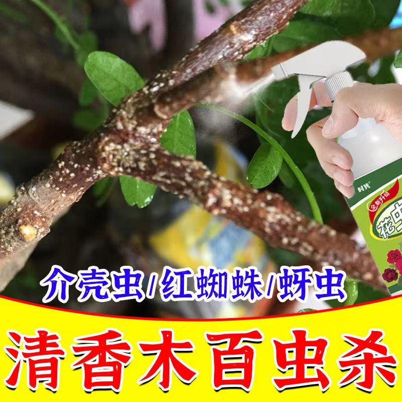 嵩晴清香木杀虫剂胡椒驱虫除虫长虫蚜虫打虫药生盘栽青香虫害树治虫药