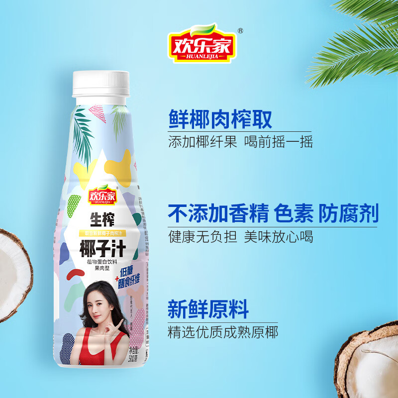 欢乐家 饮料椰子汁1.25kg*2瓶 大瓶装椰汁植物蛋白饮料 聚会宴席 【小瓶】椰子汁500g*5瓶