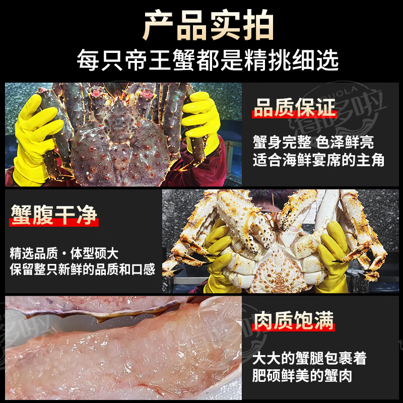 【热销推荐】帝王蟹俄罗斯进口帝皇蟹鲜活蟹海鲜礼盒大螃蟹 4.6-5斤/只【鲜活特大帝王蟹】