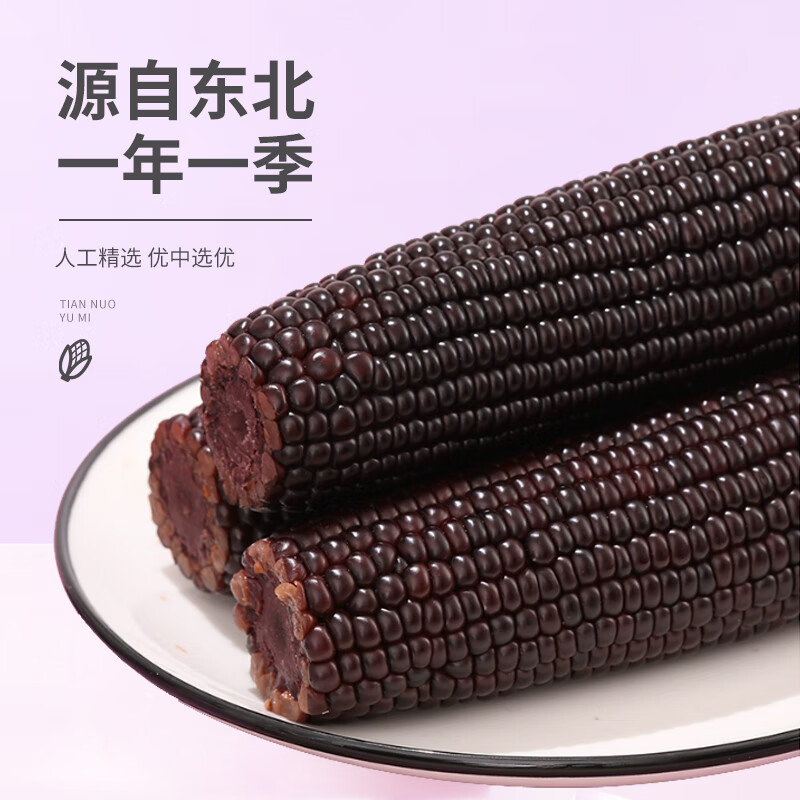 珍谷诱惑25年甜糯玉米 东北黄糯玉米 真空玉米棒杂粮 软糯鲜香 非转基因 小黑糯玉米12支 2.4kg