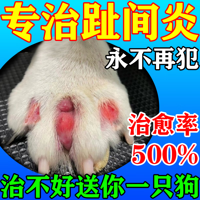 狗狗趾间炎专用药脚趾炎特效真菌感染红肿溃烂消炎外用喷雾剂药浴 1瓶