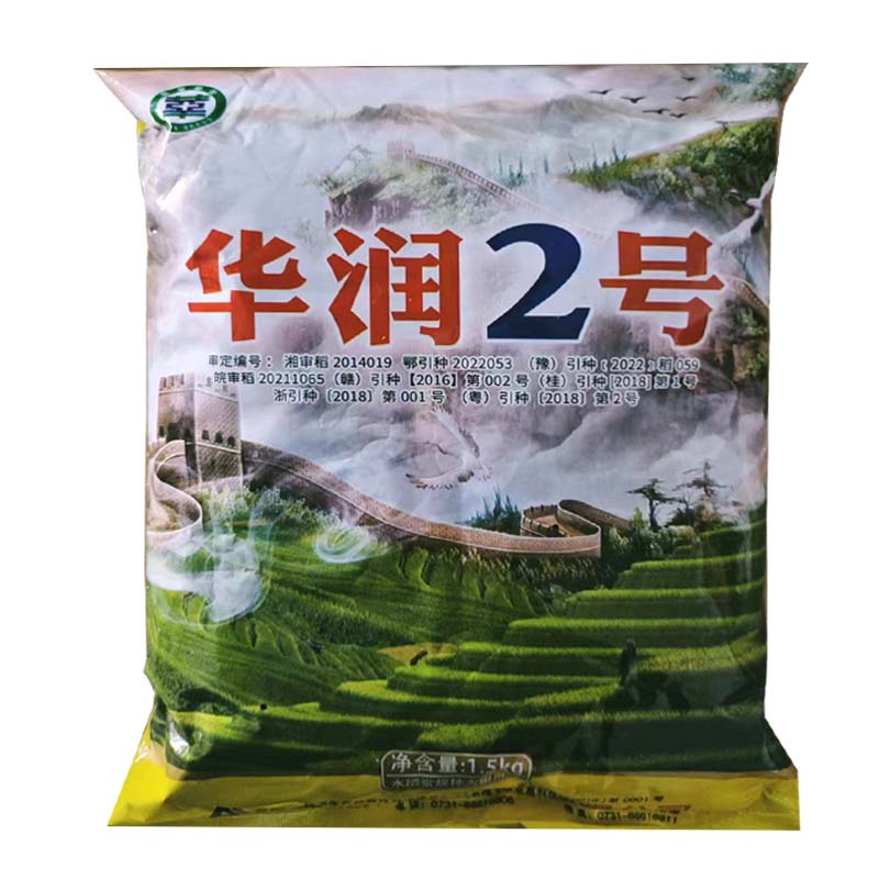 秋颖水稻种子 华润2号 常规稻稻种 高产长粒丝苗米 黄华占系列 3斤1包