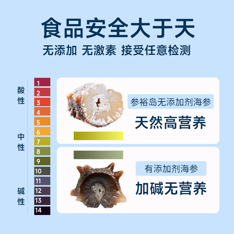 参裕岛7星级 大连即食海参鲜活鲜食海参野生辽参海生刺参孕妇 独立包装 3斤即食海参 30-36头  实惠装