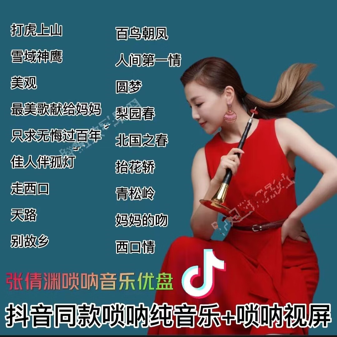 居道张倩渊唢呐纯音乐车载u盘音乐重低音经典百鸟朝凤唢呐高音质djmp3