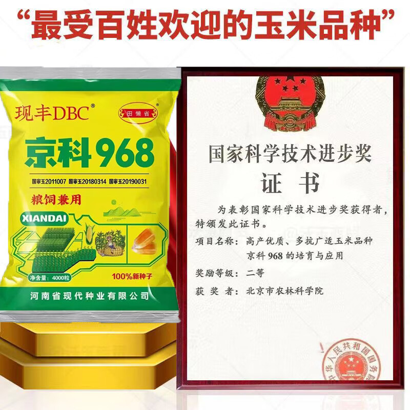 禾之润京科968丰产玉米种子大全矮杆双棒抗旱涝抗病抗倒伏农科院国审