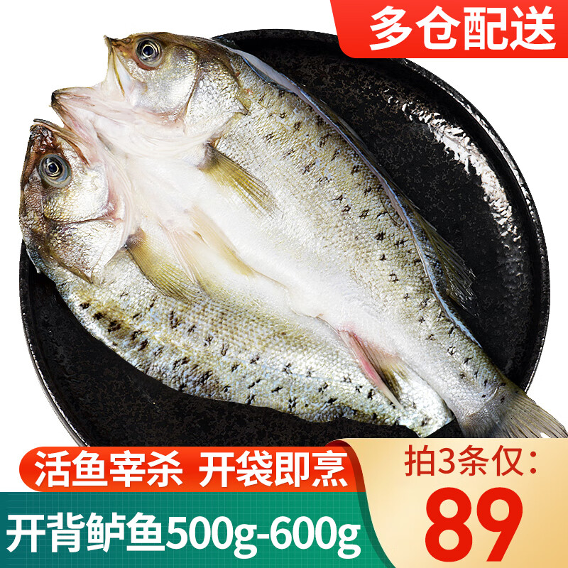 滋百尚开背海鲈鱼/河鲈鱼 三去处理 刺少肉嫩 海鲜水产 鱼类 生鲜