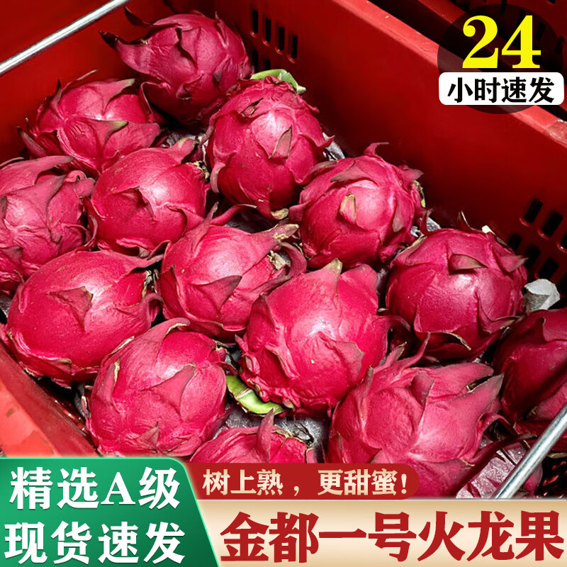 译蒙之味广西金都一号红心火龙果蜜宝红肉大果新鲜当季孕妇时令水果 4.5斤果王【约4-6个】礼盒装