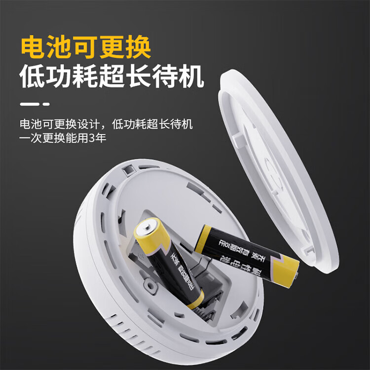 立可安一氧化碳报警器煤炉烧炭警报器蜂窝煤烧炭报警器防CO中毒探测器 新国标一氧化碳报警器（经济款）