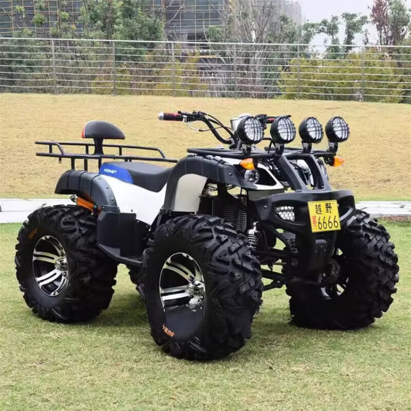 賽普迪2025新款沙灘車(chē)四輪越野摩托車(chē)電動(dòng)大型雙人ATV山地全地型越野沙 無(wú)極自動(dòng)擋三250