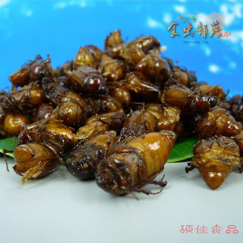 食怀黄色金龟子油炸黄亮开袋即食瞎碰棕色胖孩开袋即食用昆虫宴 60克