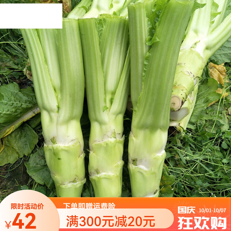 宜享健康四川农家棒棒菜新鲜蔬菜芥菜大叶莴笋青菜脑壳大头青菜菜苔