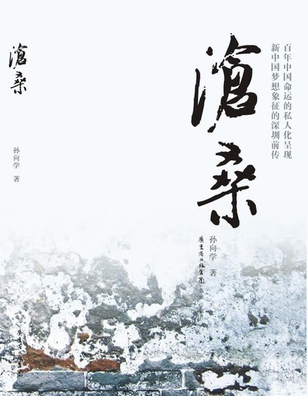 【正版图书】沧桑 孙向学 著 花城出版社(单册)