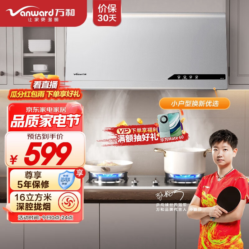 万和（Vanward）抽油烟机 中式家用16m³/min大吸力油烟机 小尺寸脱排顶吸小户型厨房 经典老式吸油烟机 H05C