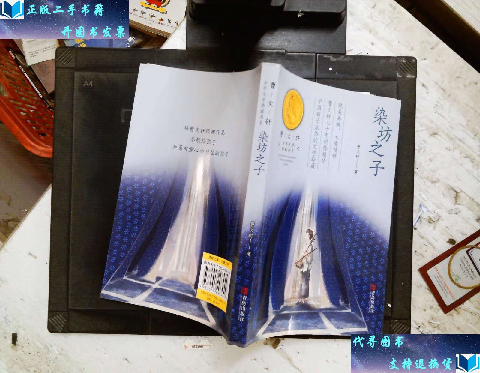 【二手书9成新】染坊之子 /青岛 青岛