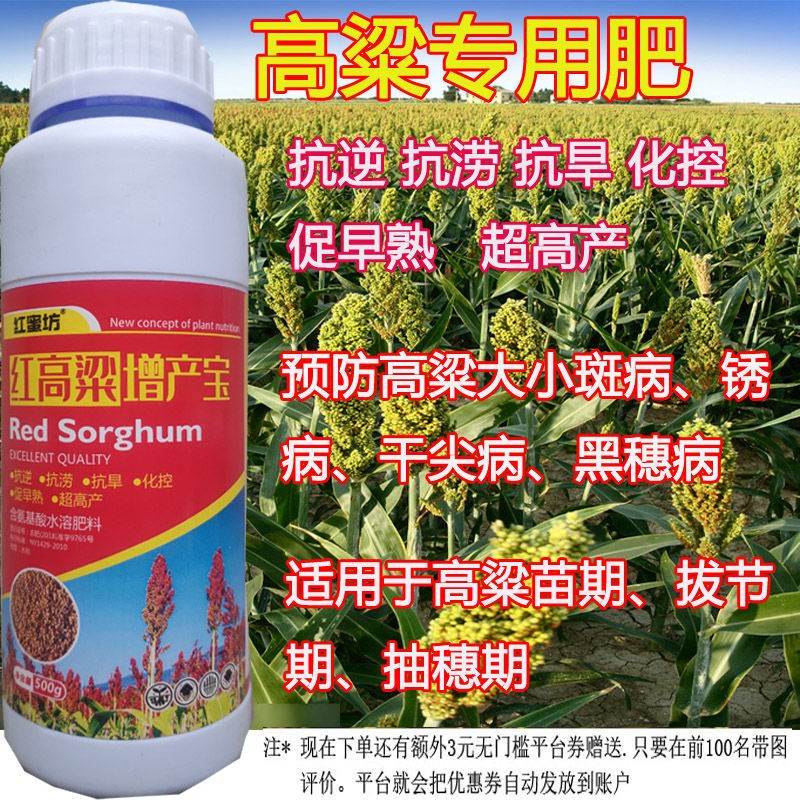 高粱增产专用肥促进分蘖提高产量抗病抗逆氨基酸肥料高粱叶面肥 高粱