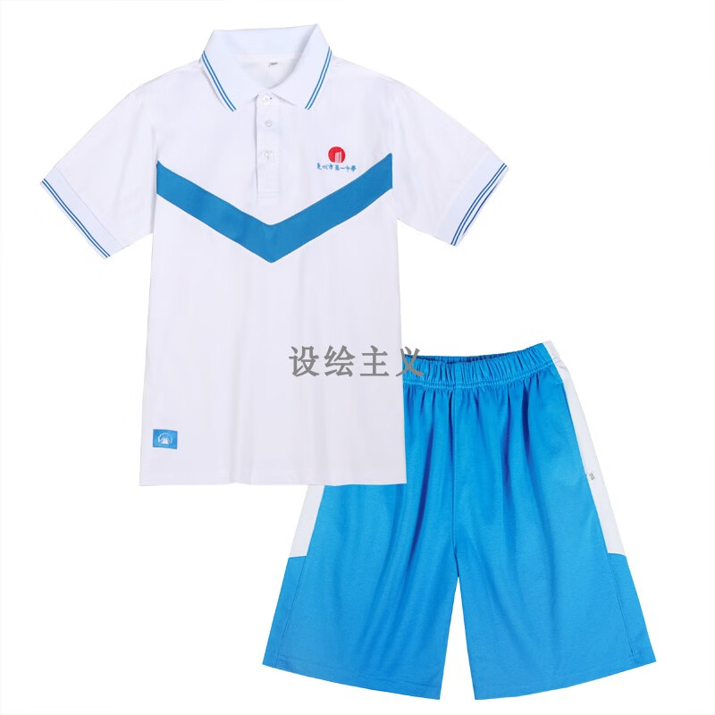 耀未来惠州小学校服2022年市惠城区一中惠港田家炳中生夏装运动 白色