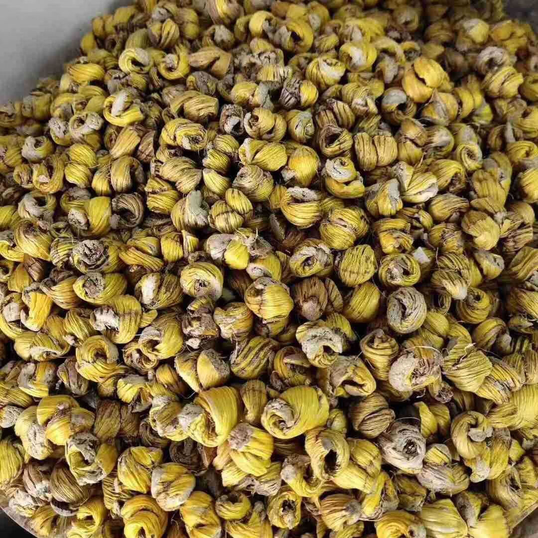 云南铁皮毛兰石斛金石斛铁皮石斛枫斗干条滋补煲汤料便宜实惠送礼