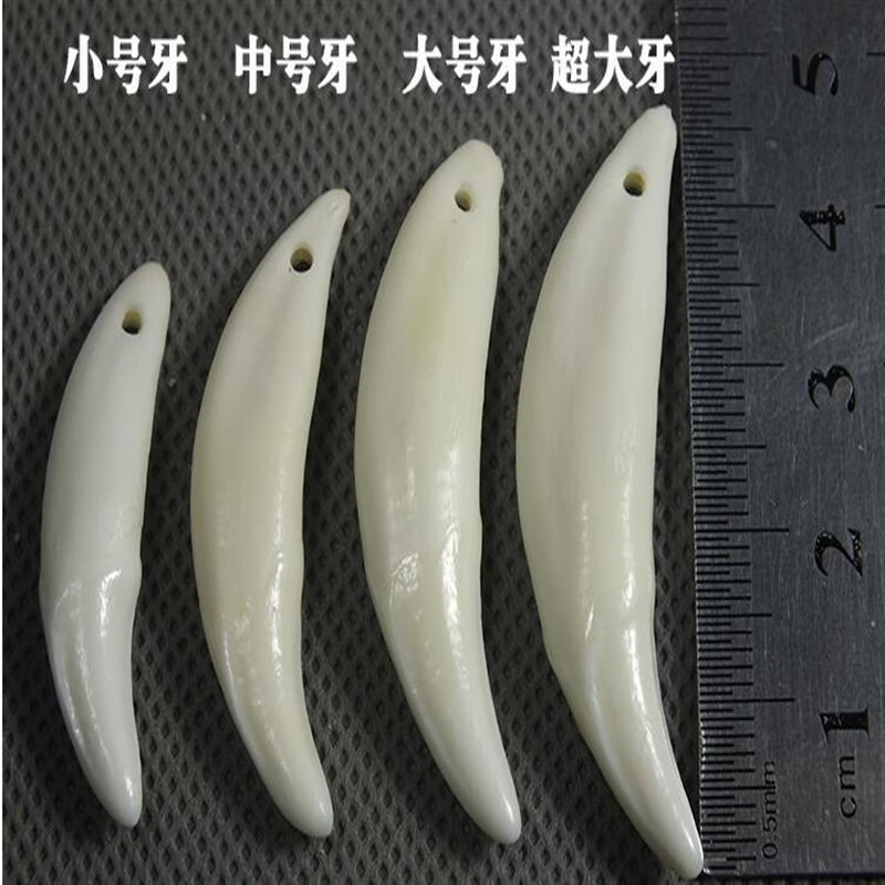 晶屿  真黑狗牙齿饰品狼牙吊坠 藏獒犬牙宝宝儿童吊坠项链男士民族风