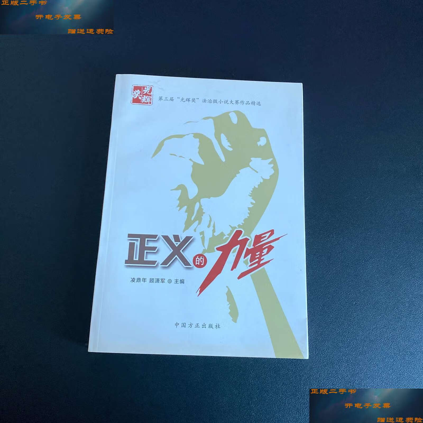 【二手9成新】正义的力量 /凌鼎年 中国方正