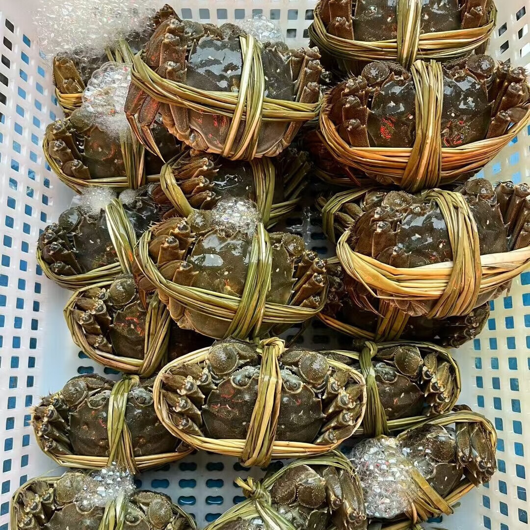 【活蟹】江苏固城湖螃蟹鲜活大闸蟹礼盒中秋送礼产地直发JD/顺丰 【尝鲜款】2两母蟹6只装 礼盒