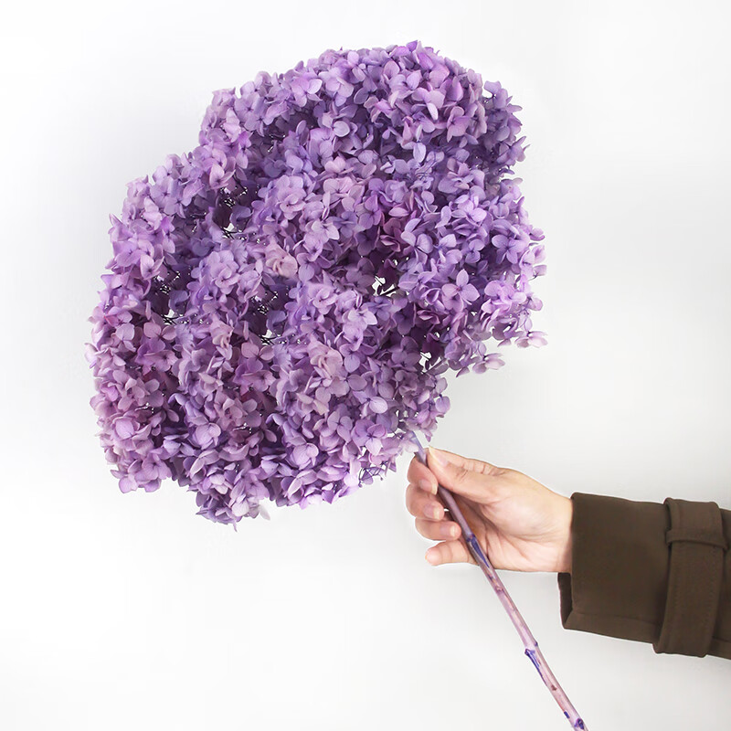 匠心绽放满天星花束绣球干花真花高端家居装饰插瓶永生花真花拍摄道具