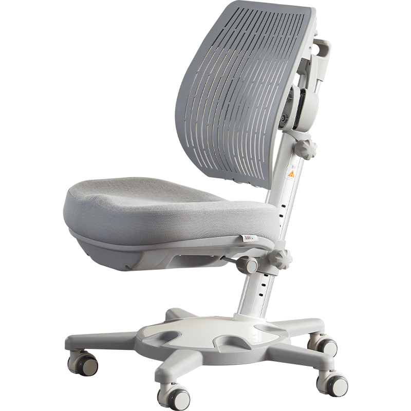 Sugar Swan¹ͯѧϰӾ˹ѧд ȿ˱֣ɫ ѧϰ