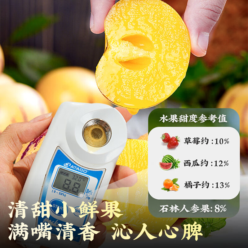 骄瑰云南石林人参果【多地次日达】圆果树上熟当季新鲜水果整箱中秋送 5斤装【超值推荐-80%选】净重4.5斤 9A金奖·老树果【单果110g+】