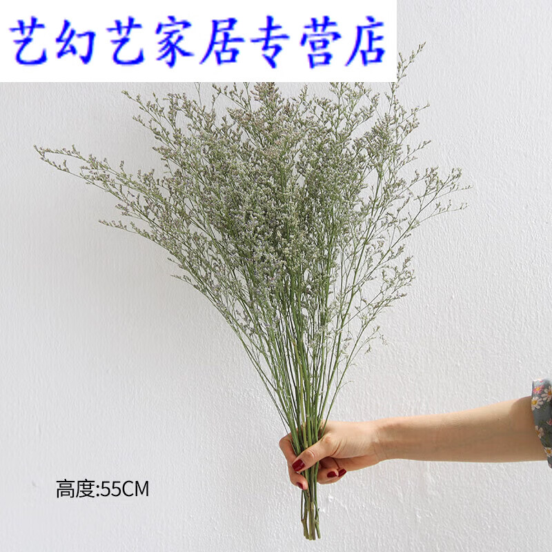 花束客厅摆设装饰摆件云南天然风干真花材料满天星 情人草干花(50克)