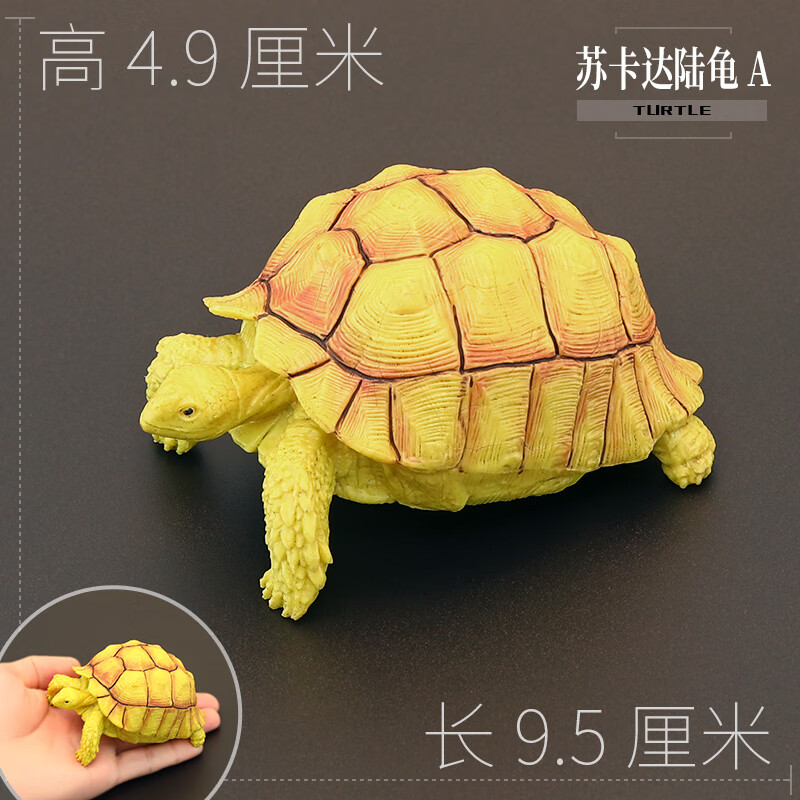 迪士尼实心儿童仿真动物玩具野生动物模型陆龟象龟辐射乌龟认知礼品