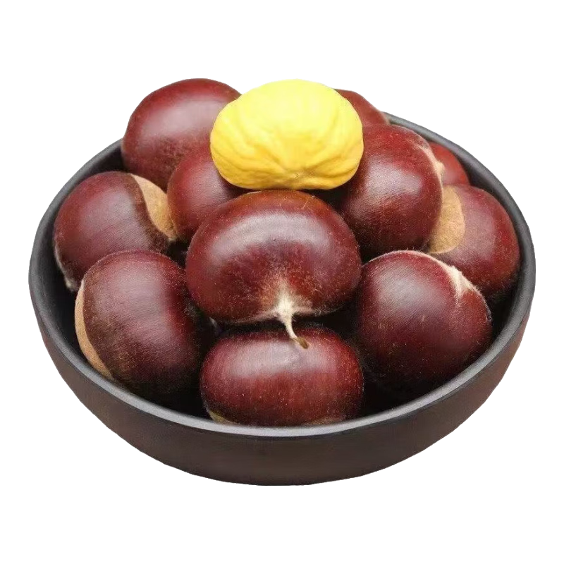 【秋果之王】25年丹东新鲜板栗现摘现发粉糯香甜蔬菜水果 丹东板栗 4斤