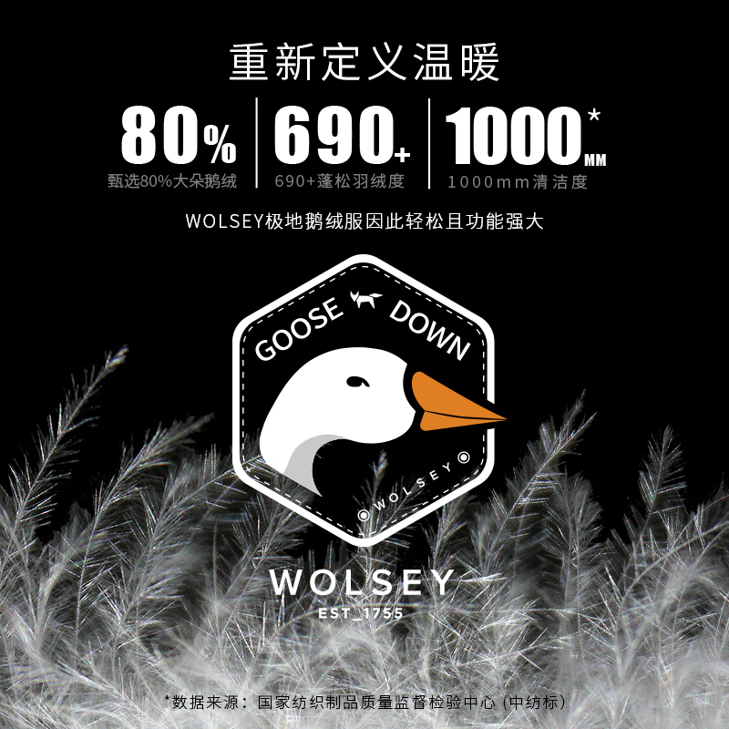 WOLSEY-Bugle号角2.0 鹅绒面包服短款男女户外防风立领羽绒滑雪服 暗夜黑色 3XL 190