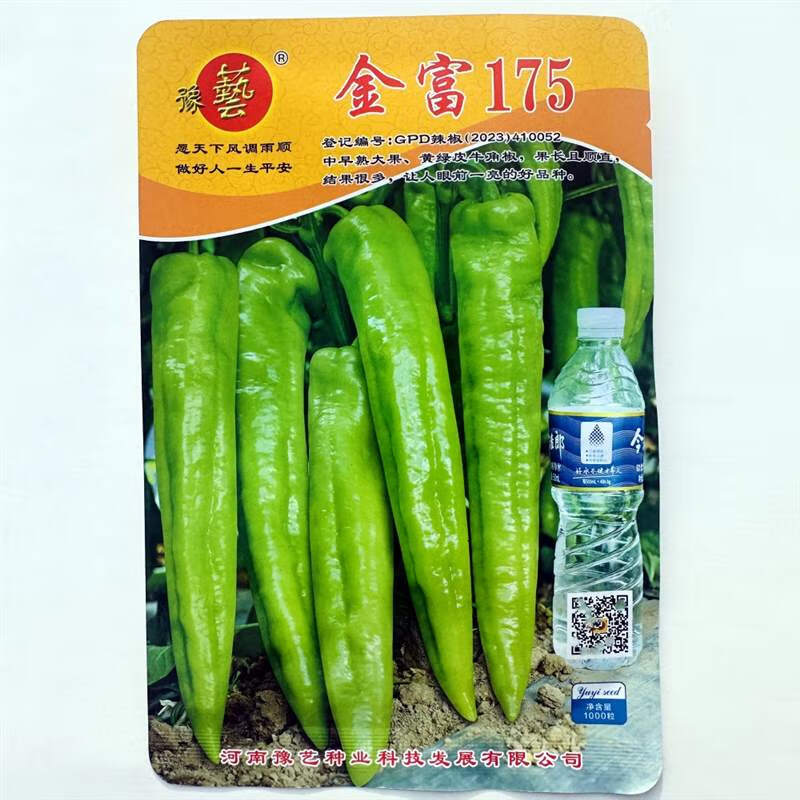 枫麦萱金富175牛角椒种籽大果抗病中早熟辣味适中黄绿皮辣椒种子春秋