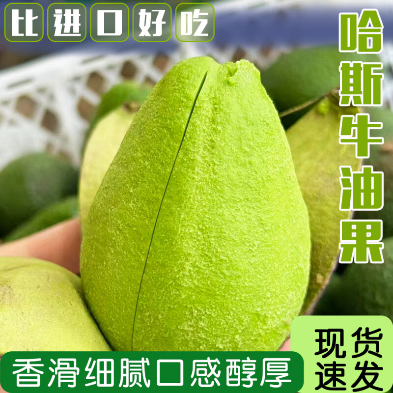 正宗云南孟连牛油果新鲜当季水果哈斯鳄梨一级无黑丝健康轻食整箱 8粒巨无霸【单果180-210g】