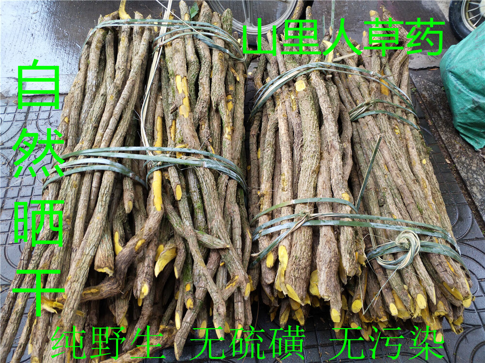 宜安堂野生土黄连木黄莲十大功劳 木黄连 刺黄苓 土黄柏 500克整根