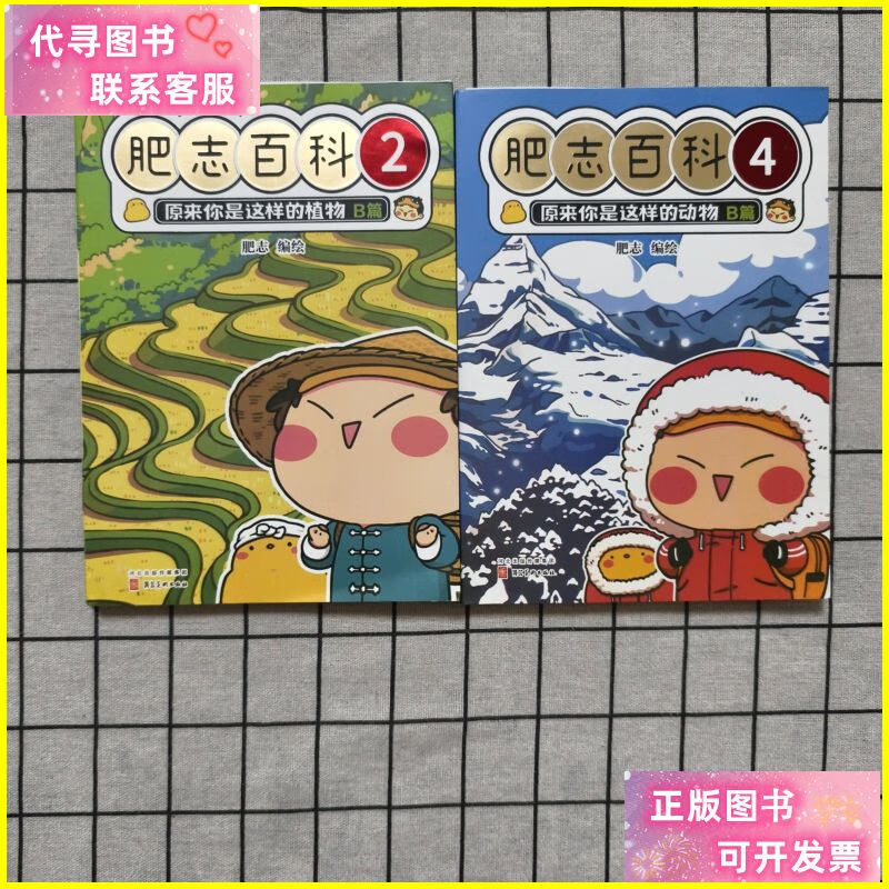 肥志百科2,4两册合售 河北美术出版社二手书