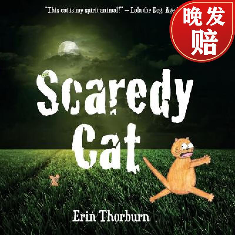 【4周达】scaredy cat