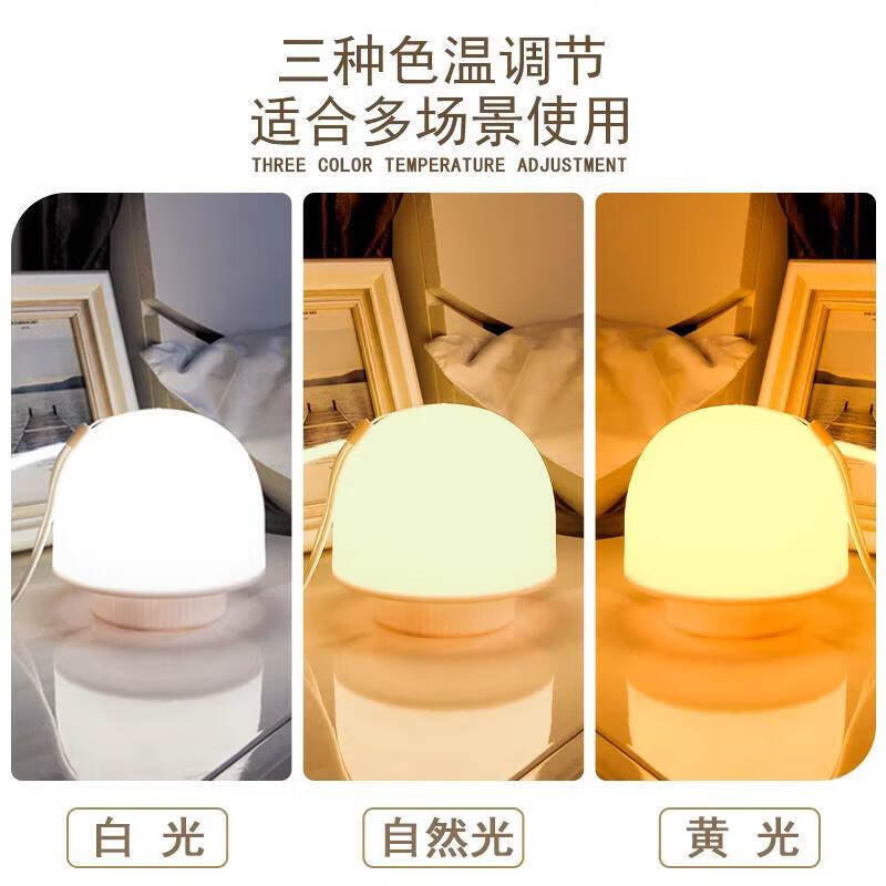 琇狮宿舍床上挂灯床上灯悬挂床帘内灯上铺灯用灯寝室小夜灯蚊帐内用灯 充电遥控款三色光【1600毫安】