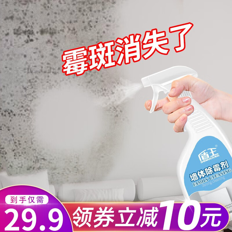 盾王 除霉剂墙体墙面去霉斑霉菌清洁剂家用厨房卫生间去霉防霉喷雾 一瓶装 500ml