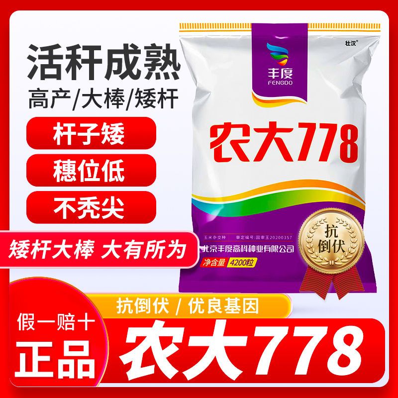 细辛农大778玉米种子大全高产农科院大棒抗病抗倒伏抗旱抗虫苞米 农大