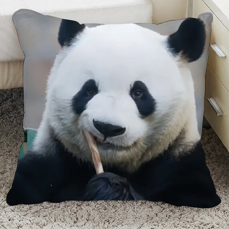 精品大熊猫福宝抱枕头动漫定制来图玩偶公仔靠枕礼物 a1 35x35cm迷你