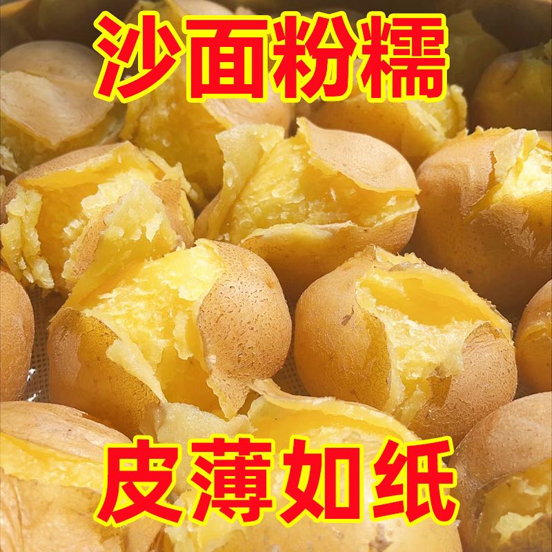 新鲜黄心土豆农家自种黄皮马铃薯黄心洋芋新鲜蔬菜 5斤带箱