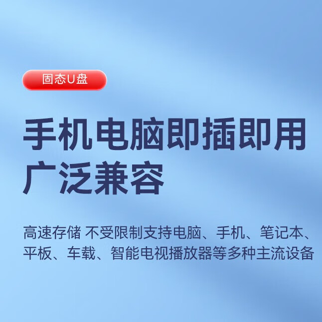 ThinkPad联想Thinkbook移动固态双接口U盘大容量1TB 读速560MB/S USB3.2/type-C手机电脑两用办公优盘BU210 256GB【读速高达560MB/S】 双接口固态U盘